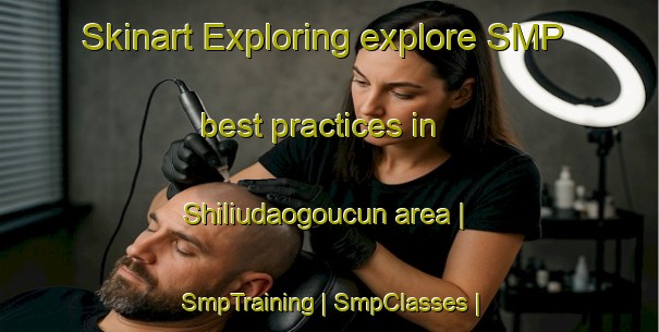 Skinart Exploring explore SMP best practices in Shiliudaogoucun area | SmpTraining | SmpClasses | SkinartTraining-China